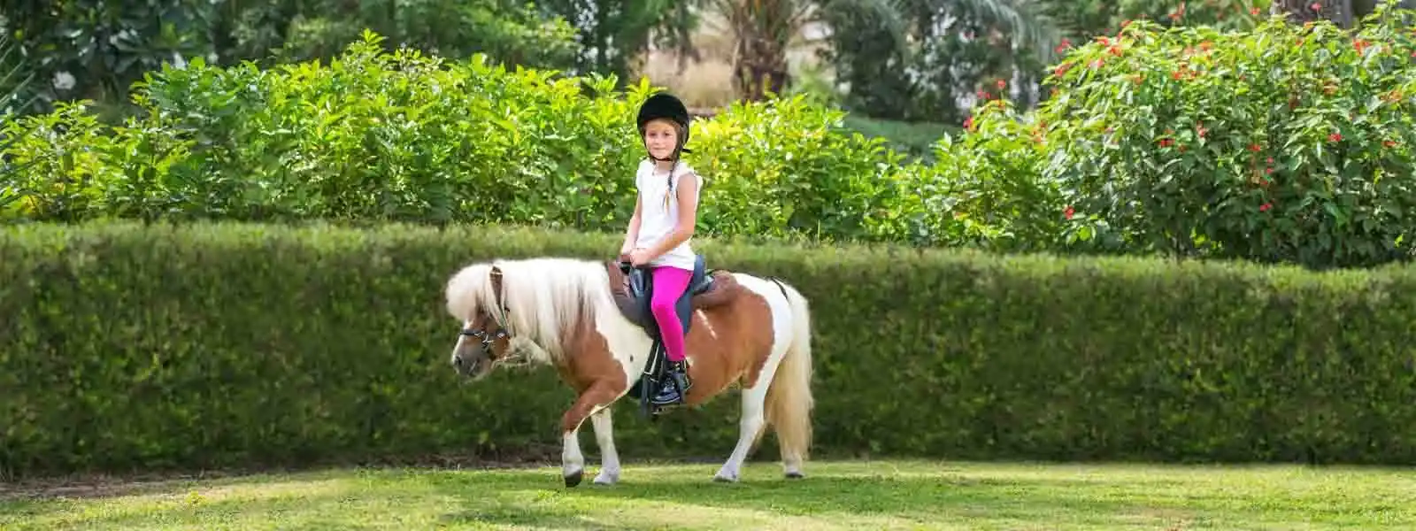 JA Palm Tree Court-1